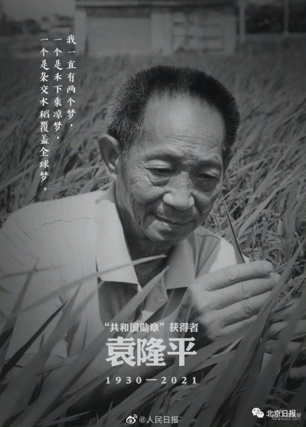 创盈在线 整整四年，从未忘记想念！长文回顾袁隆平院士与他的杂交水稻