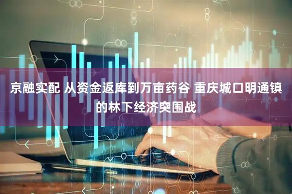 京融实配 从资金返库到万亩药谷 重庆城口明通镇的林下经济突围战
