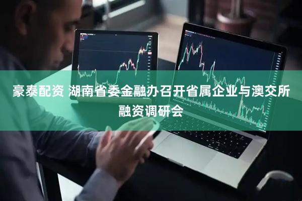豪泰配资 湖南省委金融办召开省属企业与澳交所融资调研会